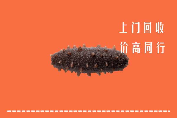 牡丹江高价回收海参